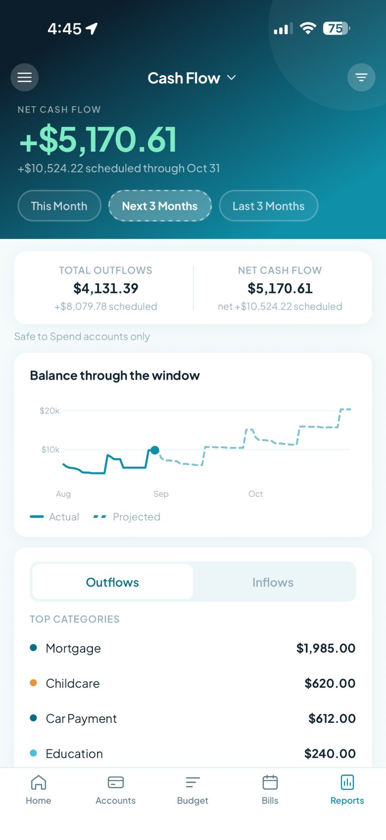 A Tovari report screen charting balance through the window — actual against projected.